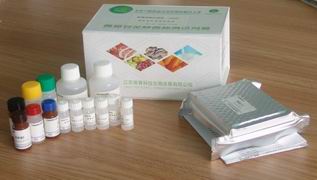恩諾沙星酶聯免疫檢測試劑盒（組織、奶、蜂蜜、雞蛋）